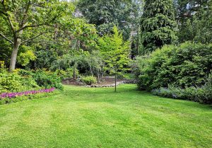 Optimiser l'expérience du jardin à La Chapelle-Gonaguet